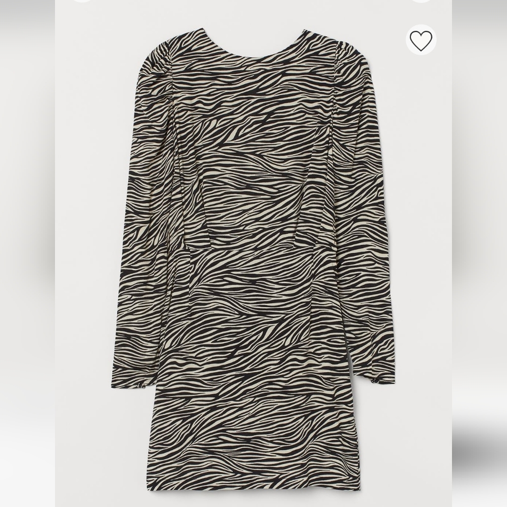 H&M Zebra Print Dress